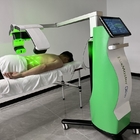 Máquina de terapia a laser frio para queima de gordura 10D diodos 532NM dispositivo para perda de peso