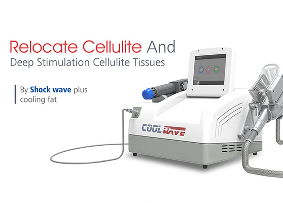 Máquina portátil da terapia da inquietação com a máquina de congelação gorda de Cryolipolysis para a perda de peso
