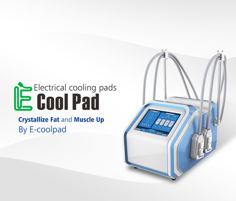 Máquina de congelação gorda de Protable Cryolipolysis para o uso da casa do emagrecimento do corpo de Cryo