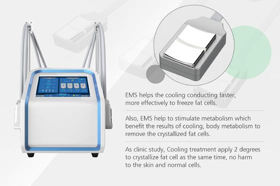 4 máquina dos punhos 30Hz Cryolipolysis EMS para o emagrecimento do corpo