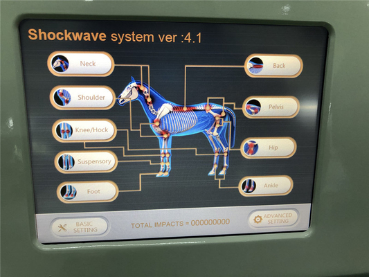 Máquina equino extracorporal radial da fisioterapia da inquietação