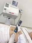 Emagrecimento gordo do corpo de China da máquina da máquina de congelação de Cryolipolysis + da terapia da inquietação