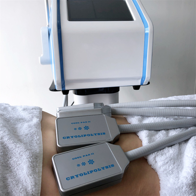 Máquina de congelação gorda de Protable Cryolipolysis para o uso da casa do emagrecimento do corpo de Cryo