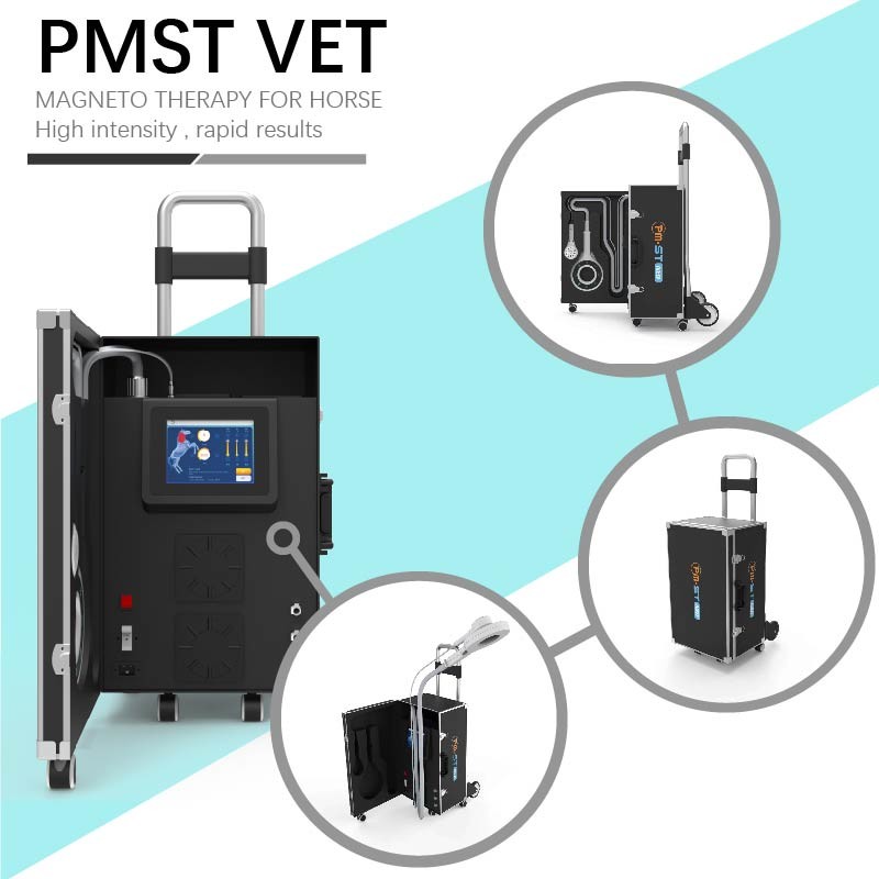 EMTT máquina de terapia por ondas de choque 4 Tesla dispositivo veterinário para estimulação muscular de cavalo