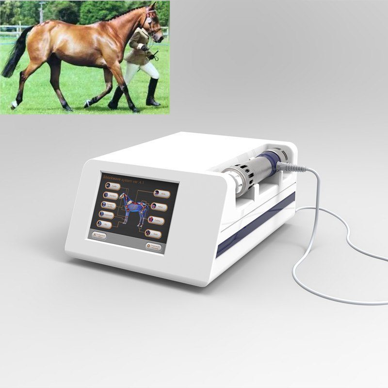 máquina equino da terapia da onda de choque 1Hz para cavalos
